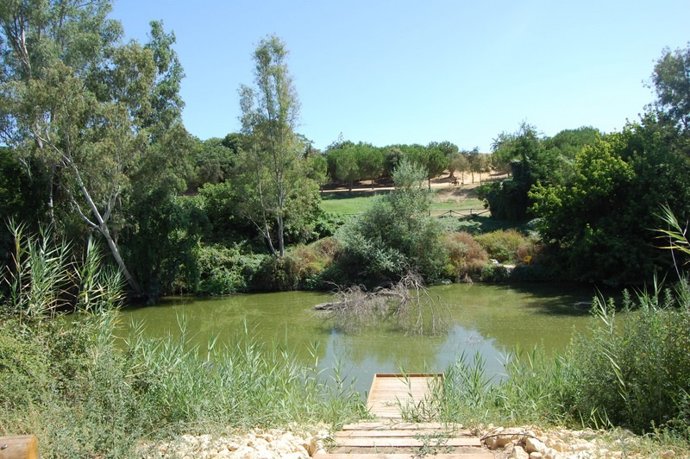 El cauce del Guadaíra.