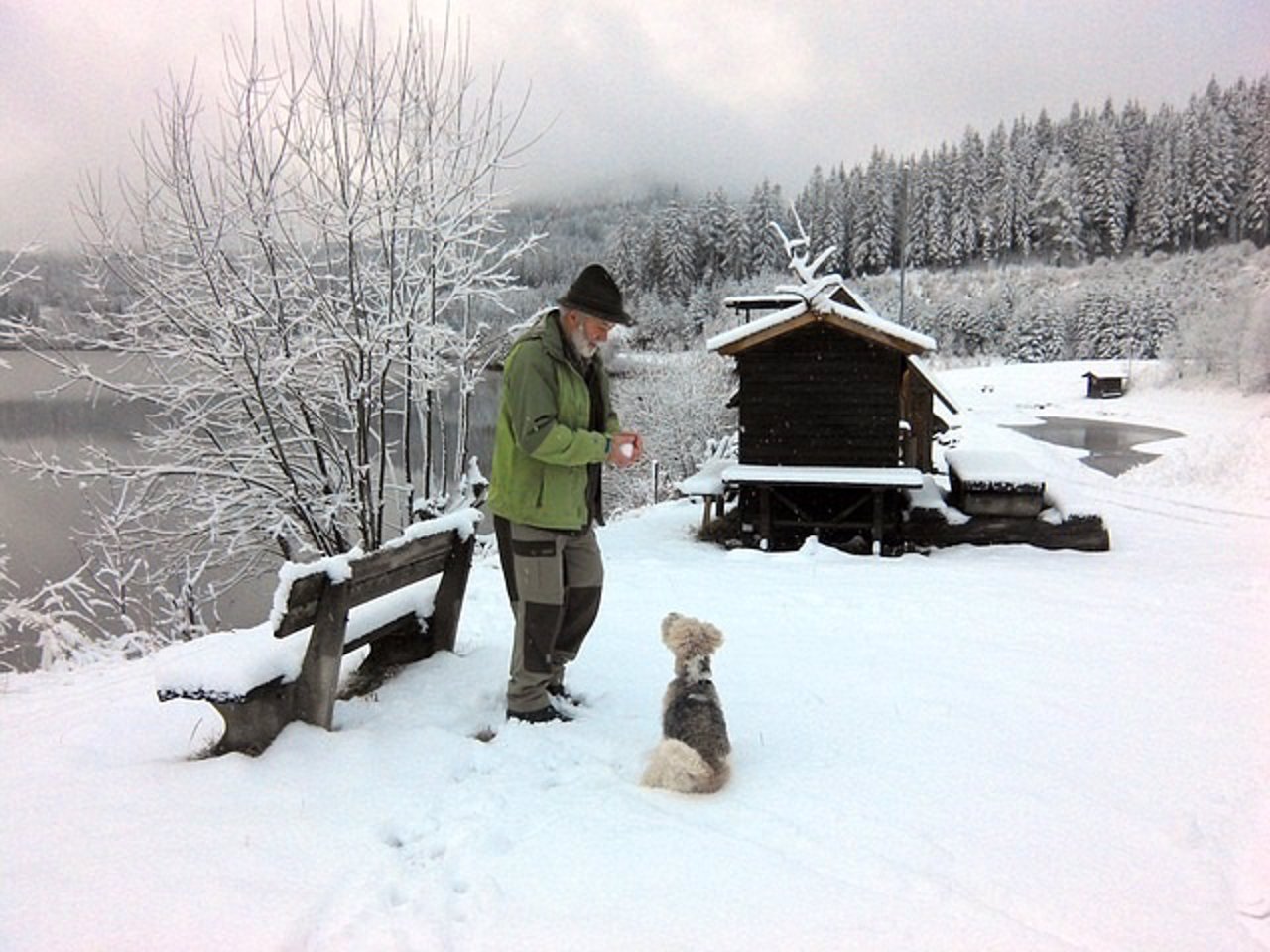 Anciano, nieve, perro, frío