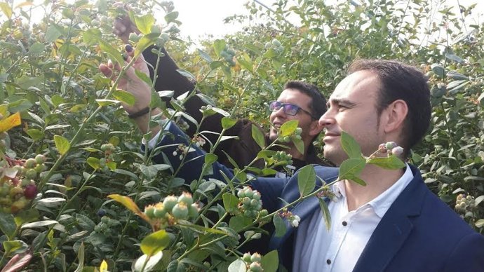 El delegado territorial de Agricultura de la Junta en Huelva, Pedro Pascual.