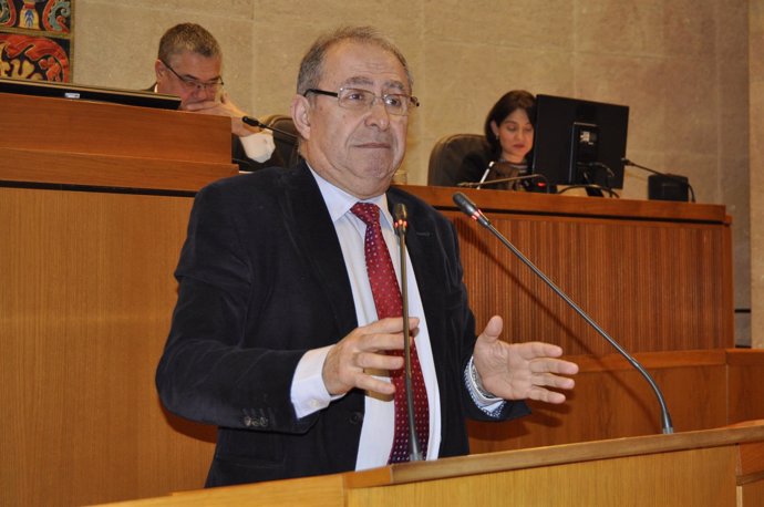 Fernando Gimeno en su comparecencia este jueves en el pleno de las Cortes