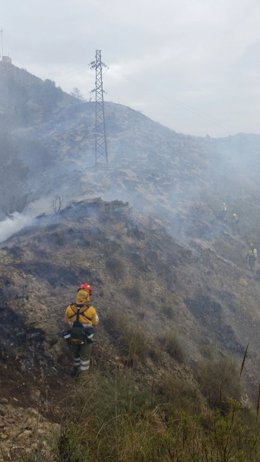 Incendio Paraje de la Sierra de La Navela de Blanca
