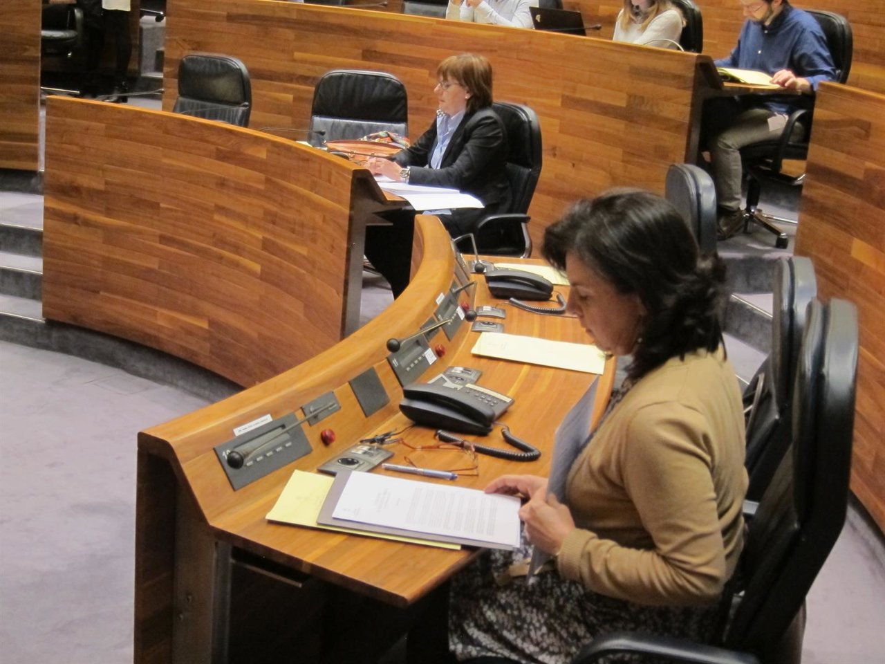 La consejera de Desarrollo Rural, María Jesús Álvarez