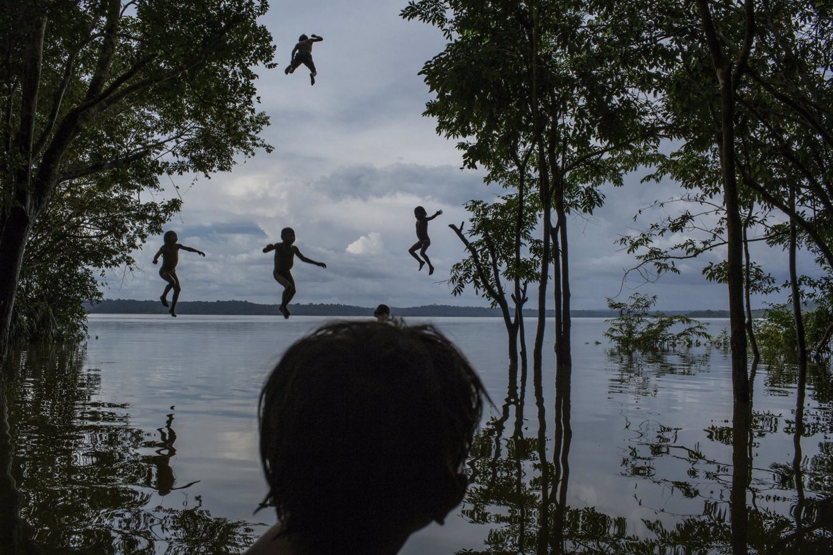 World Press Photo Las Mejores Imágenes Del Fotoperiodismo Actual