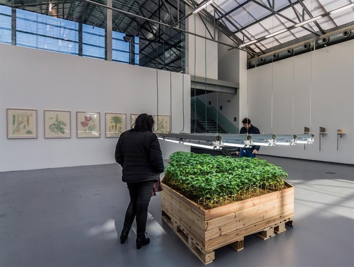 La Conservera y el artista Juanli Carrión organizan un aperitivo 