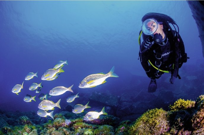 TURISMO DE CANARIAS CONVOCA “THE CANARY ISLANDS DIVE PHOTO CHALLENGE”