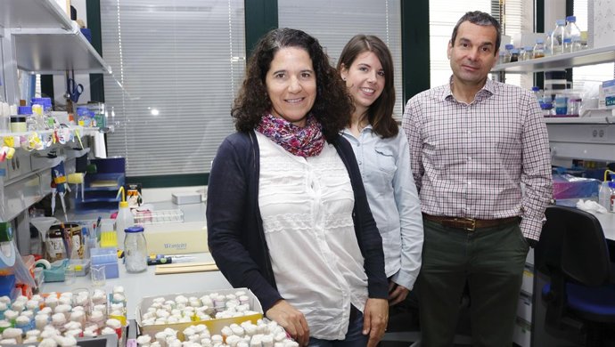 Investigadores del Centro Andaluz de Biología del Desarrollo