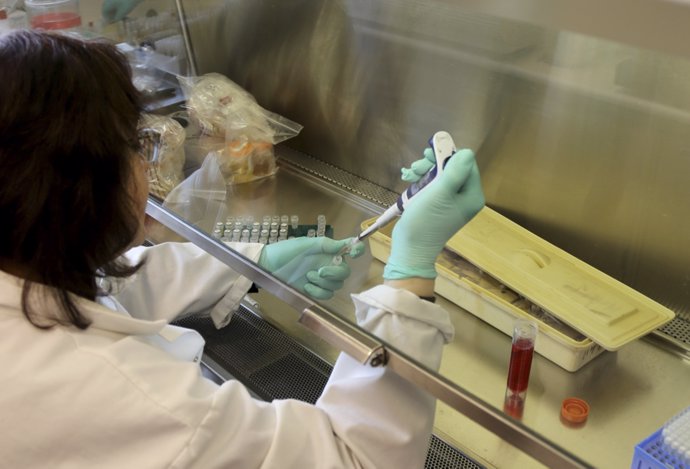 A scientist is preparing samples for diagnostic testing at the National Microbio