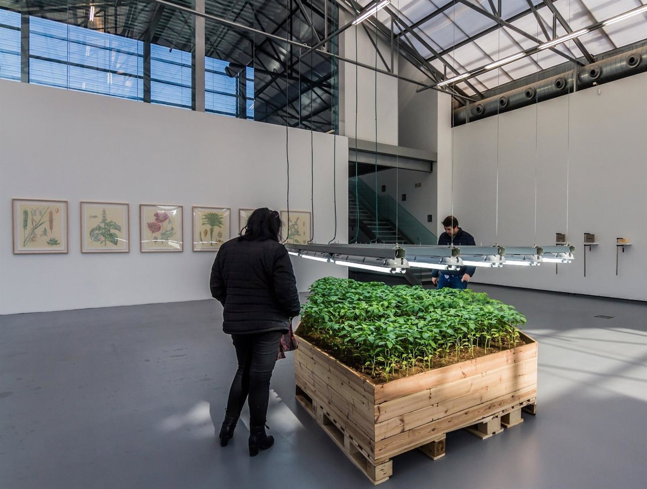 La Conservera y el artista Juanli Carrión organizan un aperitivo 