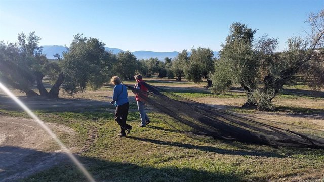 Turistas extendiendo los mantillos en el tajo