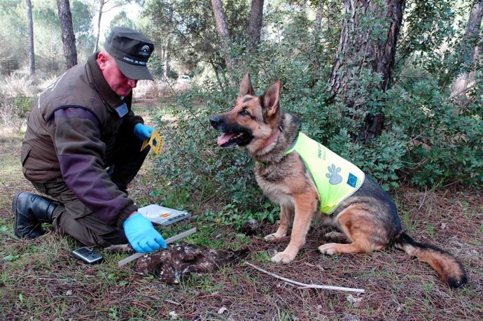 Unidad canina de detección de cebos envenenados