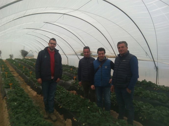 Visita de italianos a la finca El Cebollar