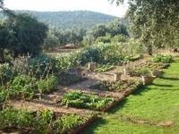 Vista de los huertos ecológicos en El Tamujar