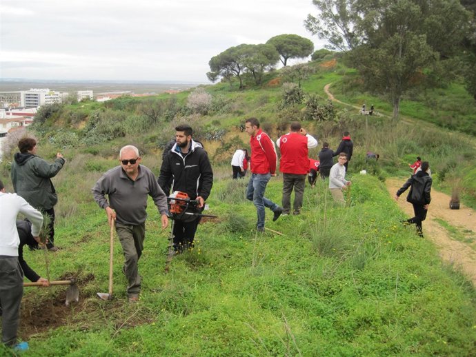 Reforestación en Huelva