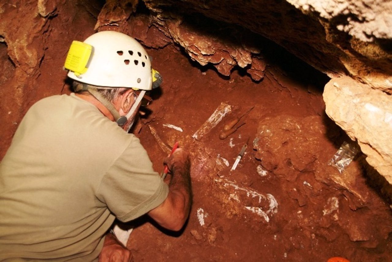 Una imagen de hallazgos en la Cueva Victoria en Murcia