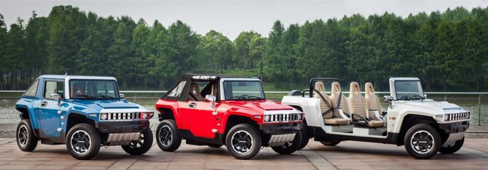 MEV My Electric Vehicle 