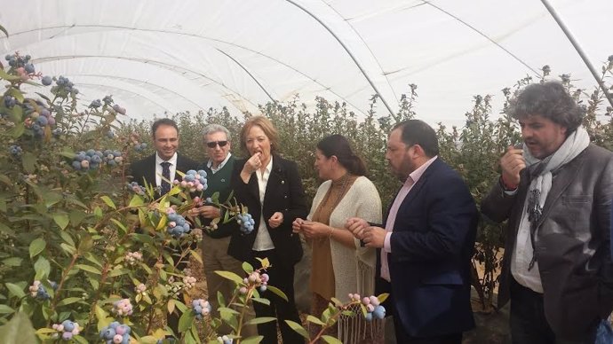 La consejera de Agricultura de la Junta de Andalucía, Carmen Ortiz, en Almonte.