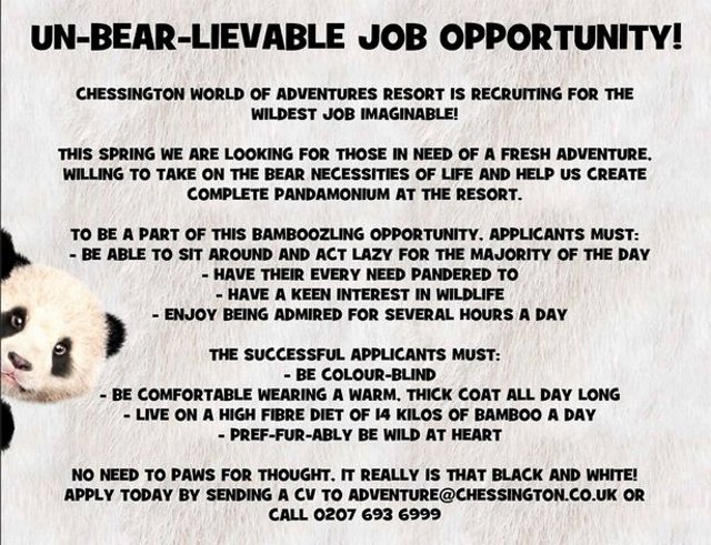 Anuncio - The Mirror