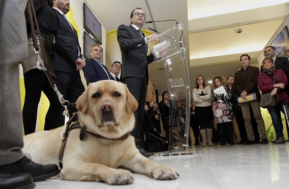 Exposición sobre los perros guía