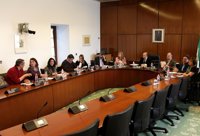 La comisión de formación citará a los comparecientes las semanas sin pleno