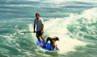 Un hombre, dos perros y una tabla para hacer surf arrasan en Facebook