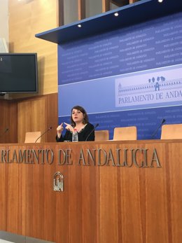 La portavoz parlamentaria adjunta de IULV-CA, Elena Cortés, en rueda de prensa