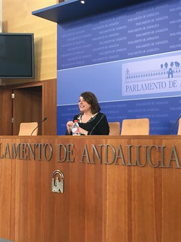 La portavoz adjunta del grupo parlamentario de IU, Elena Cortés, en rueda