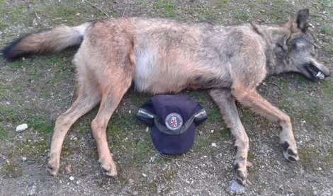 Cooperación y Desarrollo