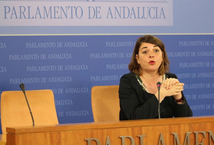 La parlamentaria de IU y portavoz adjunta de grupo, Elena Cortés