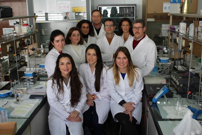 Grupo de investigación química de la Universidad de Sevilla (US)