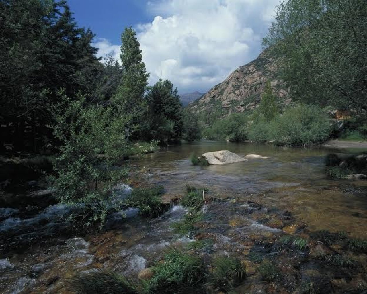 El río Manzanares, en La Pedriza