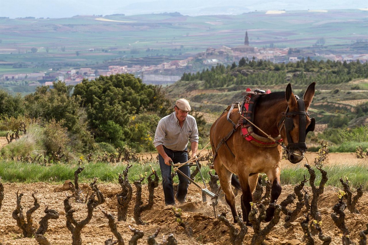 Foto ganadora III premio de Fotoperiodismo