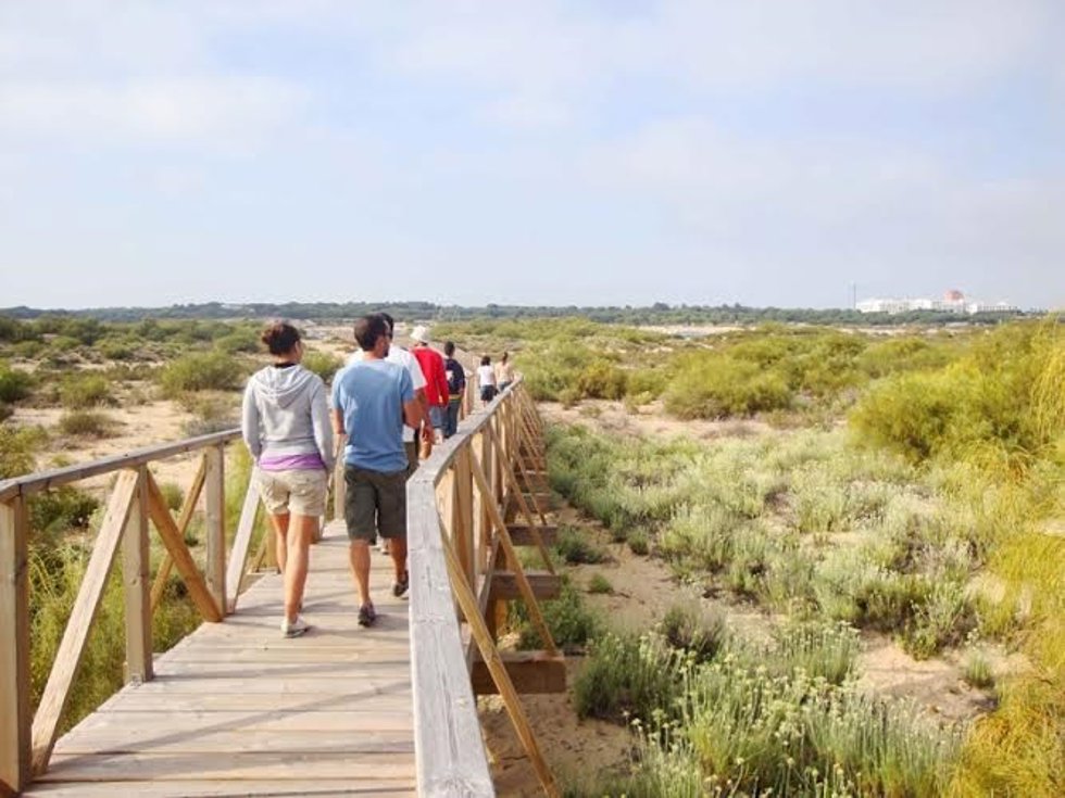Pasarela en la Flecha de El Rompido (Huelva).