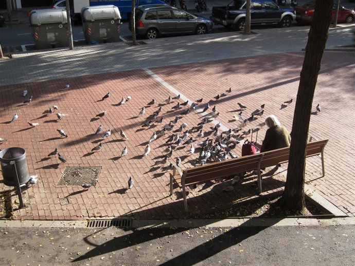 Una Barcelonesa Alimenta Palomas En El Eixample