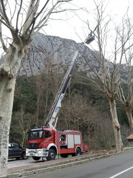 Retirada de ramas  por el temporal de viento 
