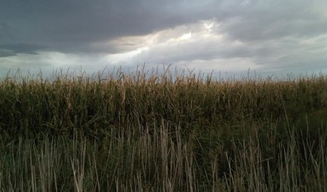 Cooperación y Desarrollo