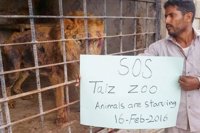 Los animales del zoo de la ciudad yemení de Taiz se mueren de hambre por la guerra