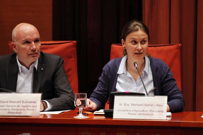 Meritxell Serret en el Parlament