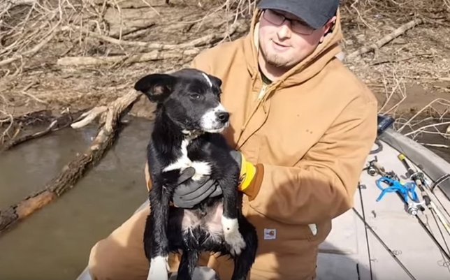 Rescate perro en un río