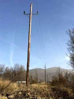 Línea de Endesa en Gotarta