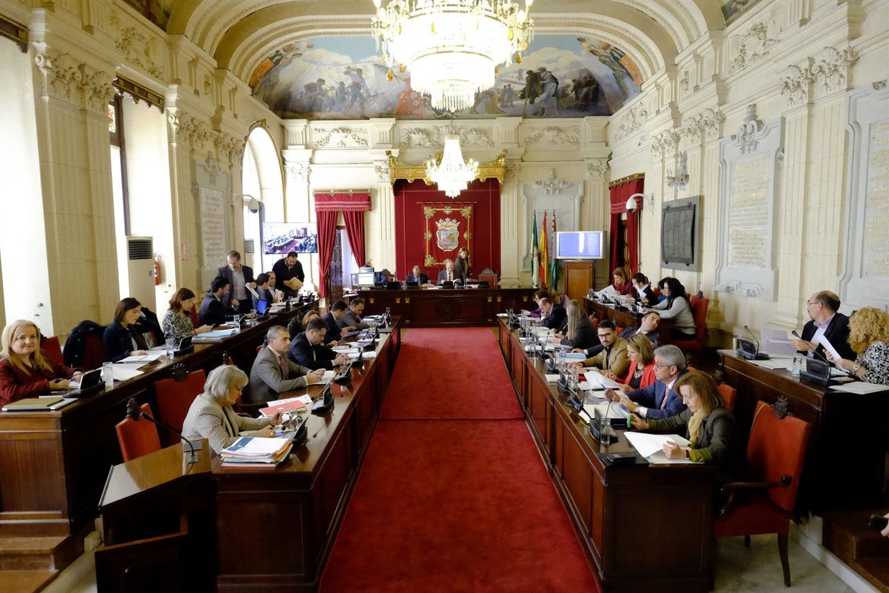Pleno del Ayuntamiento de Málaga febrero 2016