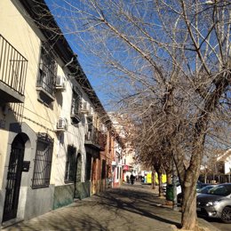 El PP pide mejor mantenimiento de zonas verdes de Córdoba