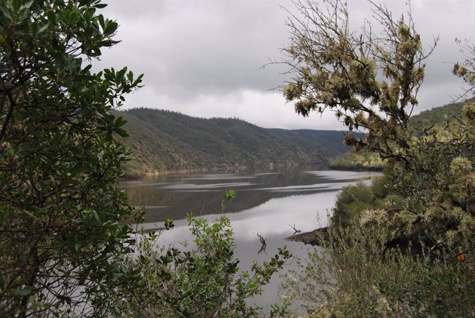 Parque Natural del Tajo Internacional