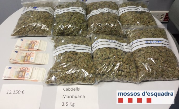 Marihuana localizada por los Mossos d'Esquadra en Lleida