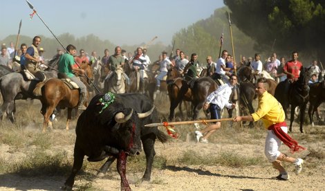 Cooperación y Desarrollo