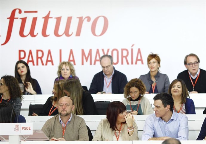 Pedro Sánchez ante el Comité Federal del PSOE