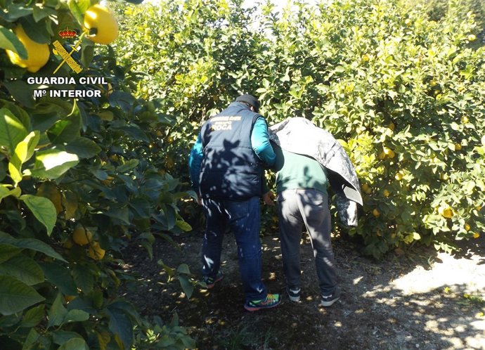 Imagen de uno de los detenidos