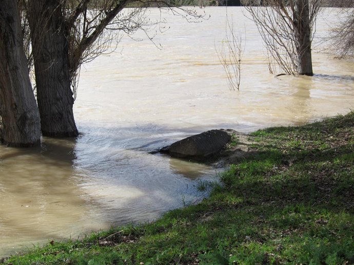 Crecida del Ebro en Zaragoza