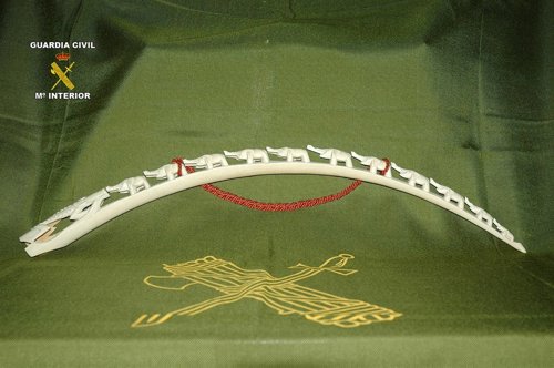 Colmillo de elefante de marfil