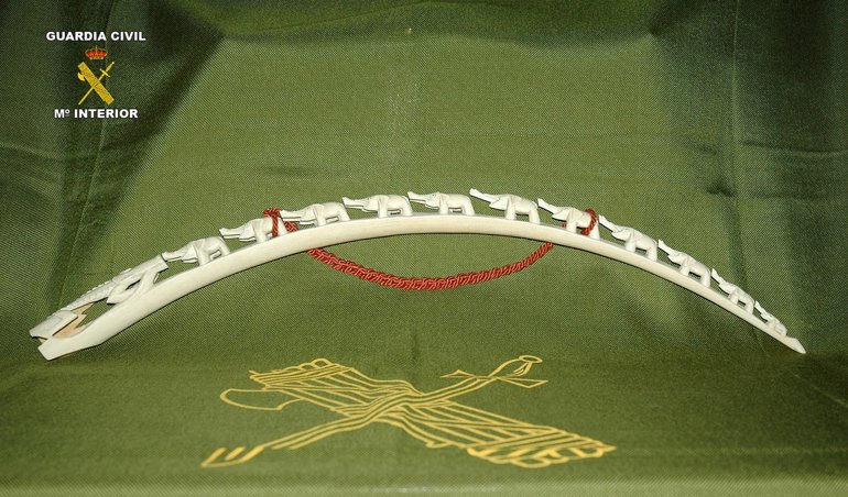 Cooperación y Desarrollo