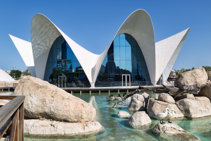 L'Oceanographic, de Valencia